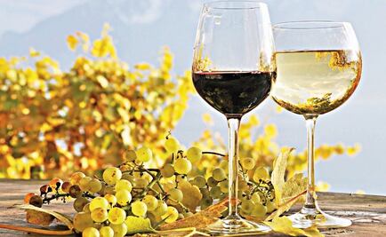 Mexican wines are among the best in the world