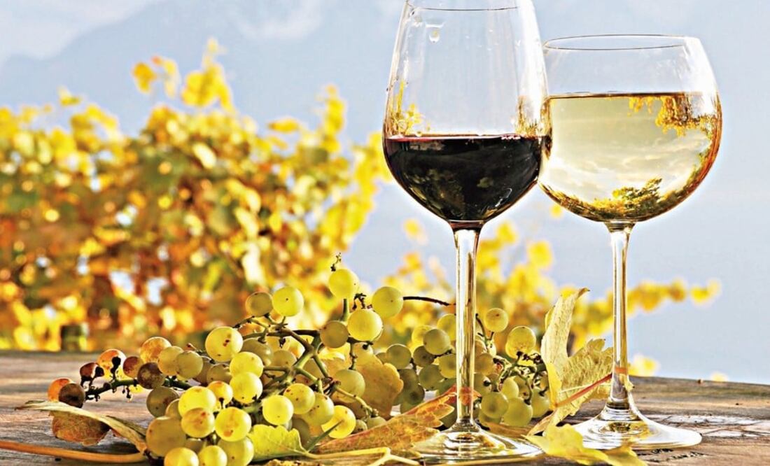 Wines from Baja California obtained the best results - Photo: File Photo/EL UNIVERSAL