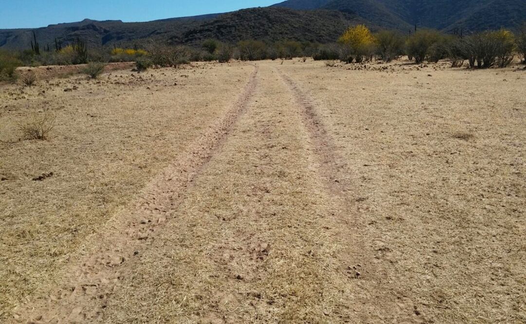 PGR desmantela una pista clandestina en Comondú
