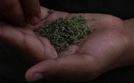 Decretan ilegal pena por poseer marihuana