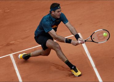 Del Potro y Fognini también superan la primera ronda de Roland Garros