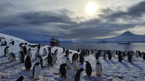 Rodeadas de pingüinos e icebergs: así es pasar la Navidad en la oficina de correos del fin del mundo