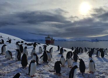 Rodeadas de pingüinos e icebergs: así es pasar la Navidad en la oficina de correos del fin del mundo
