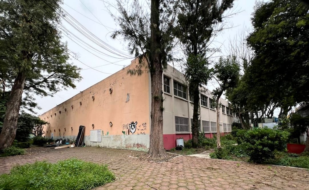Escuela Primaria Carlos A. Carrillo, vista desde la esquina de Municipio Libre y la calle de Antillas en la colonia Portales. Luly Gutiérrez.