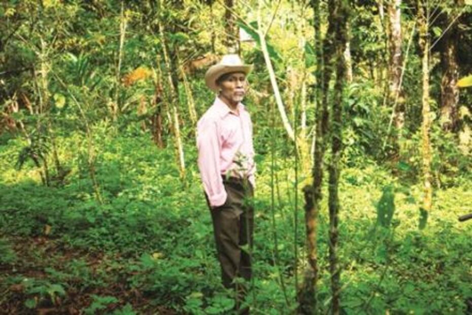 Discriminación y desprotección jurídica, la vida de indígenas en Oaxaca