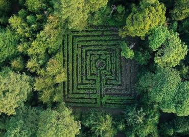 7 planes para disfrutar de la CDMX y alrededores