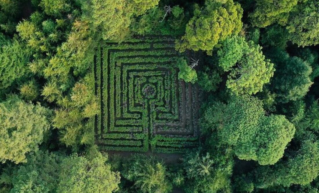 Foto: Parque Ejidal San Nicolás Totolapan