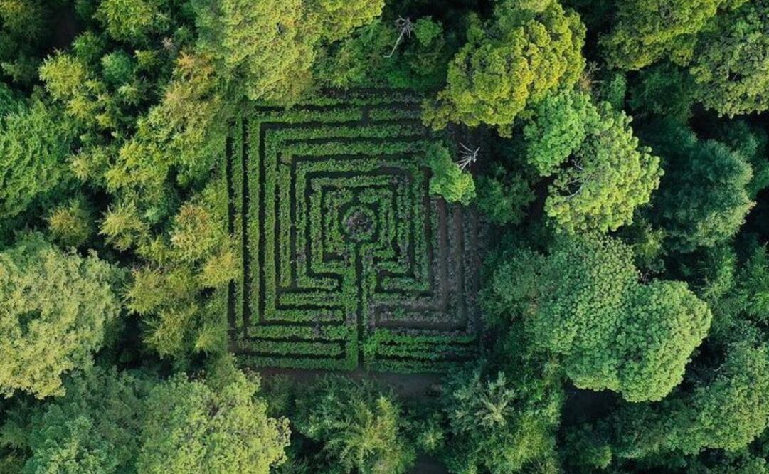 Foto: Parque Ejidal San Nicolás Totolapan