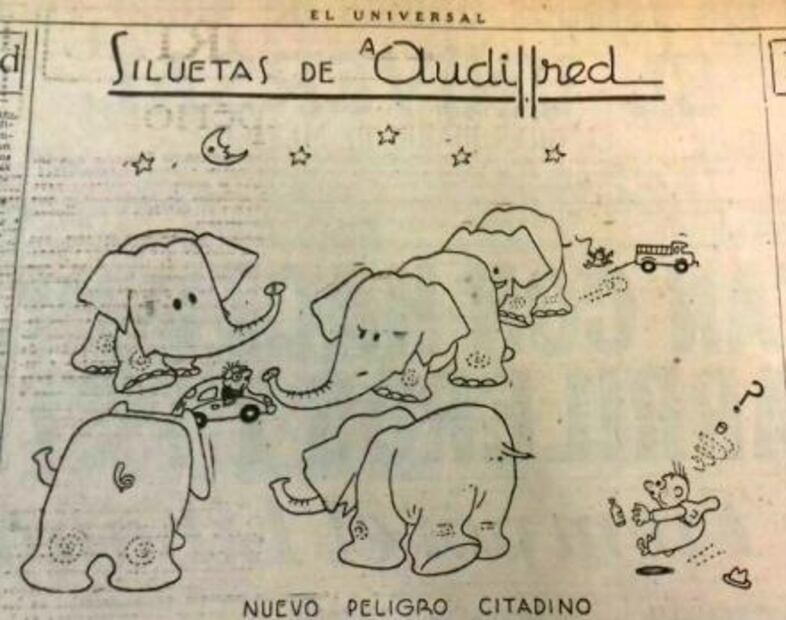 Una elefanta anduvo suelta en la ciudad