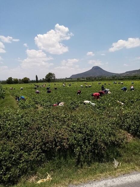 Análisis de aguas residuales en Hidalgo detectó 100 mil casos Covid en junio