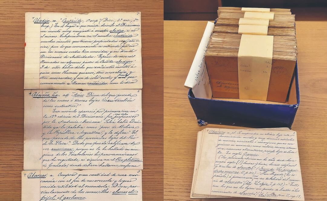 El Vocabulario de mexicanismos, publicado en 1899, contiene expresiones y provincialismos mexicanos o del habla cotidiana, así como indigenismos y nahuatlismos. Fotos: AML