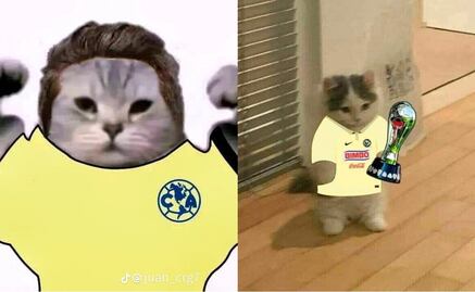 Los mejores memes del campeonato de América en el Apertura 2023