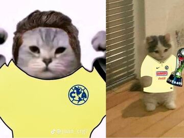 Los mejores memes del campeonato de América en el Apertura 2023