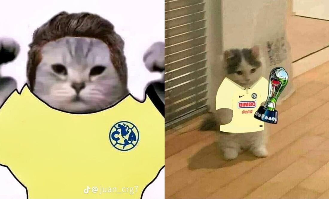 Los mejores memes del campeonato de América en el Apertura 2023