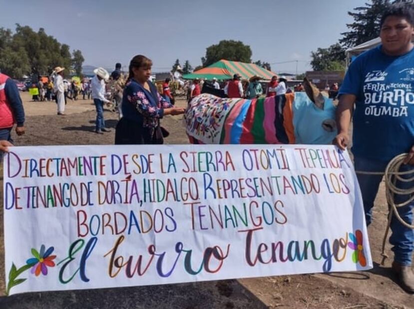 “El burro apache” triunfa en Feria Nacional del Burro en Otumba