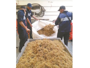 Marina define plan para frenar el sargazo