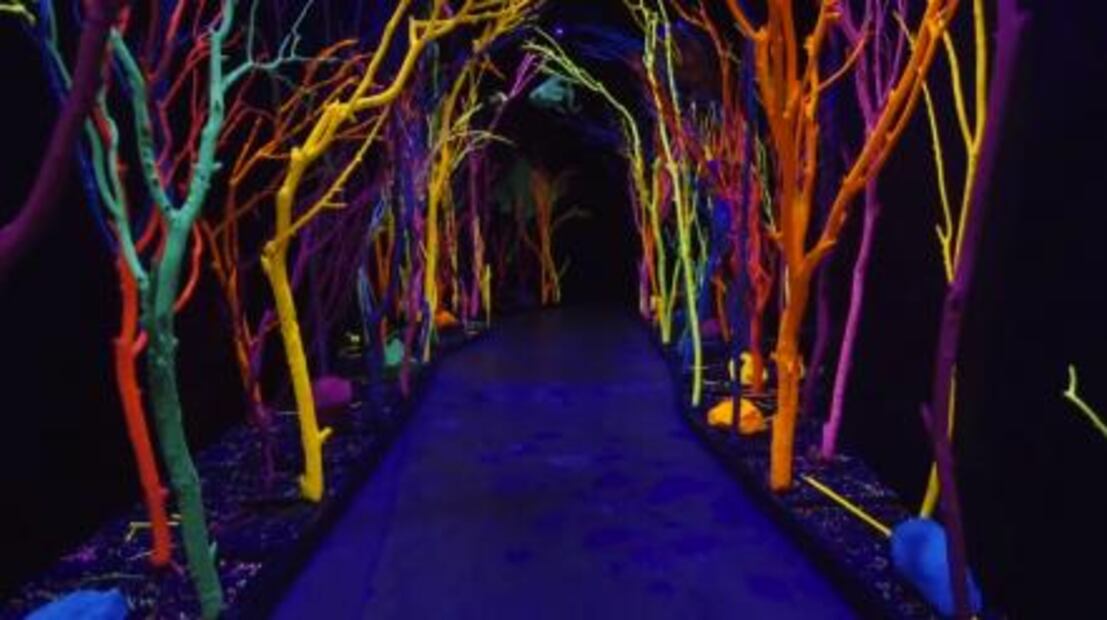 Así es la Casa del Eterno Retorno, fundada por el creador de Game of Thrones