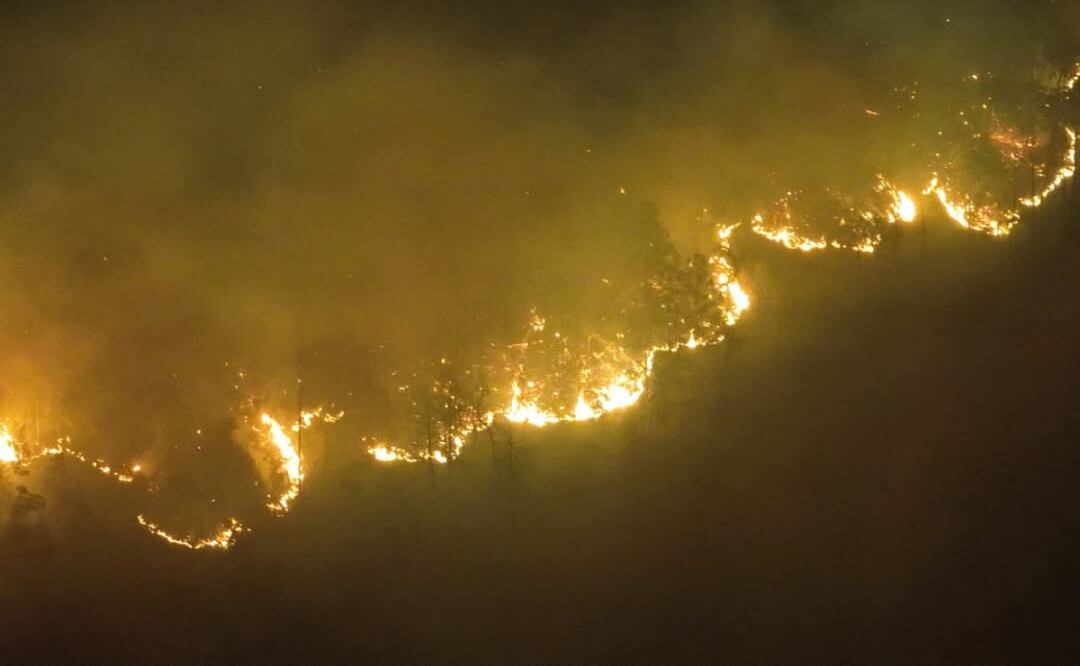Investigan incendios provocados en Oaxaca; suman más de 13 mil hectáreas afectadas. Foto: Especial