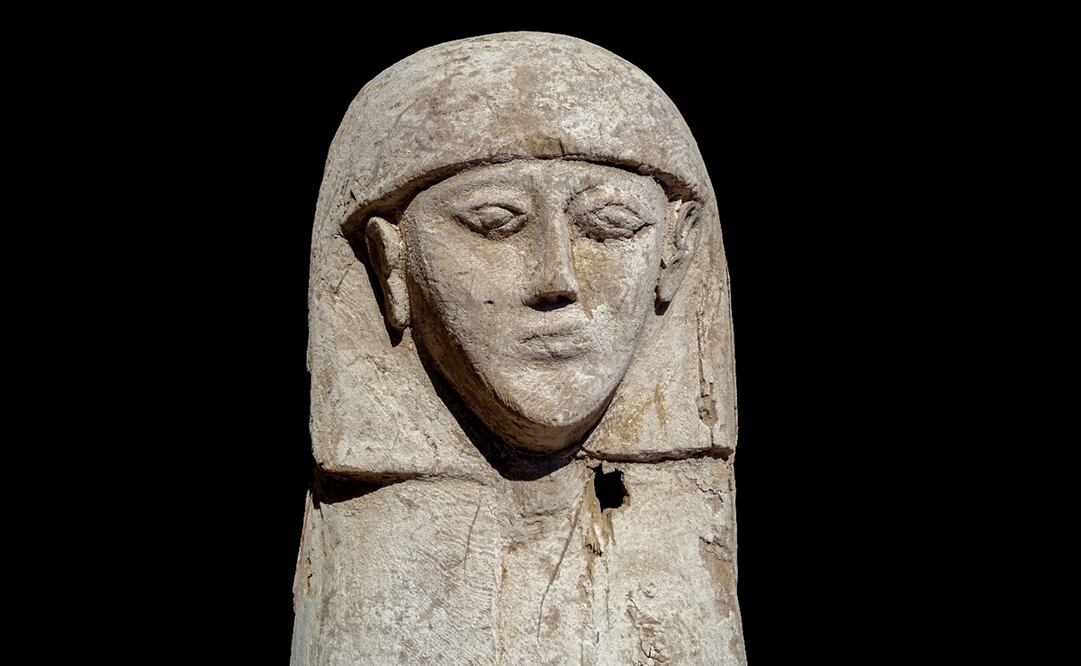 Foto: EFE/José M Galán/CSIC