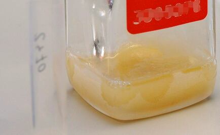 Transforman la orina en agua potable