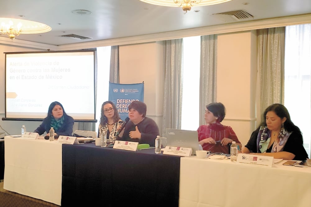 La coordinadora ejecutiva del Observatorio Ciudadano Nacional del Feminicidio informó que hay 19 alertas de género activas en el país. Foto/ALEXIS ORTIZ. EL UNIVERSAL