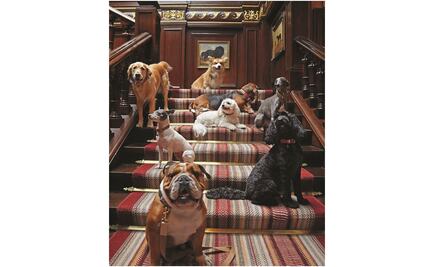 The Connaught y Macallan 1948