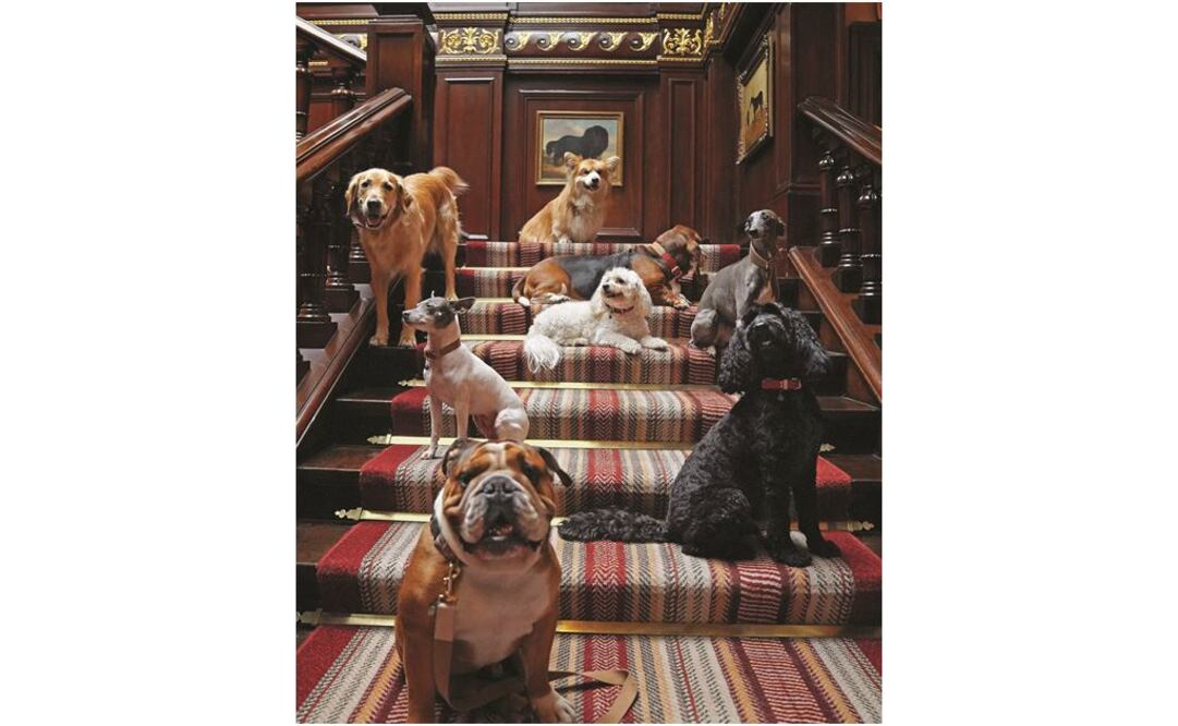 The Connaught y Macallan 1948