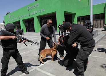 EU entrega 25 caninos para reforzar seguridad en México