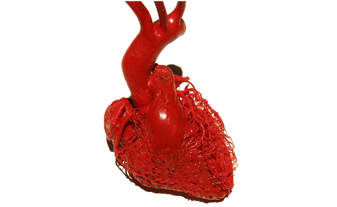 Foto: Archivo El Universal