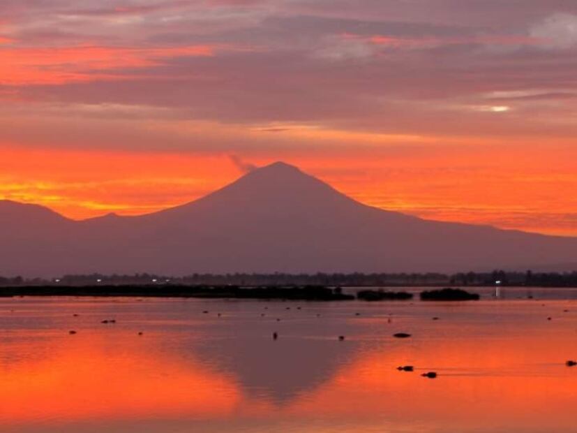 Recorre el canal principal de Xochimilco con el tour de Las Flores Nativitas. Foto: trajinerasxochimilco.com