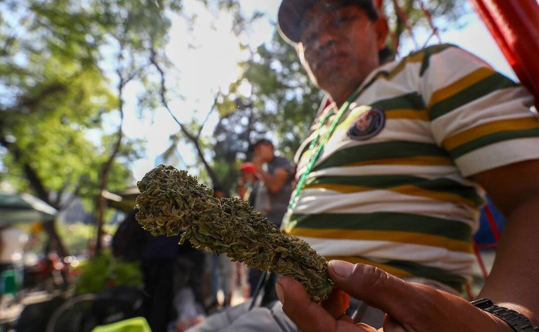 Promotores de la marihuana instalaron un Corredor Cannábico Cultural en Paseo de la Reforma y la plaza Luis Pasteur. Fotos: Germán Espinosa
