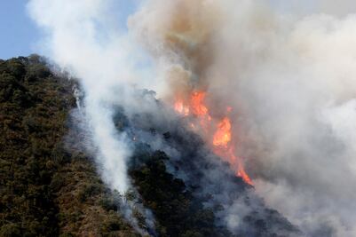 Sedena combate incendios forestales en Chihuahua, Campeche, Q.Roo y Oaxaca