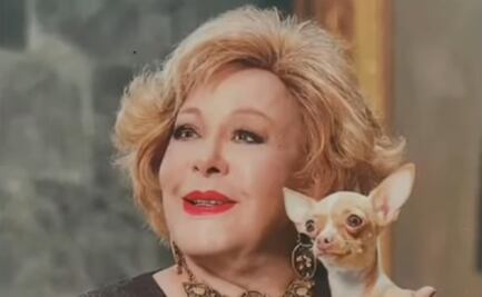 "Cosita", la perrita que era de Silvia Pinal, conmueve con su reacción al oler abrigo de la actriz