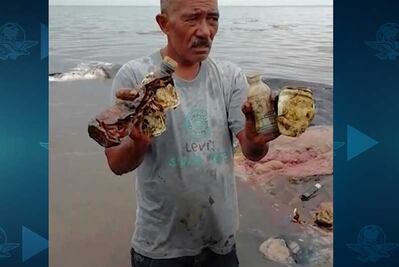 Ballena muere en Indonesia; tenía 6 kilos de plástico en el estómago
