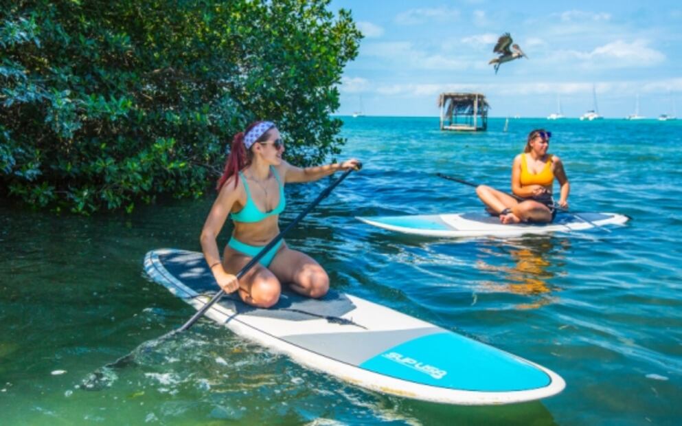 Belice: lo que debes saber para nadar en la Barrera Arrecifal Mesoamericana