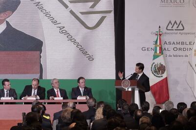 Peña Nieto: México será respetuoso, pero defenderá soberanía al renegociar TLCAN