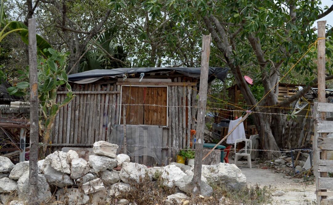 Foto: Archivo/ Cuartoscuro