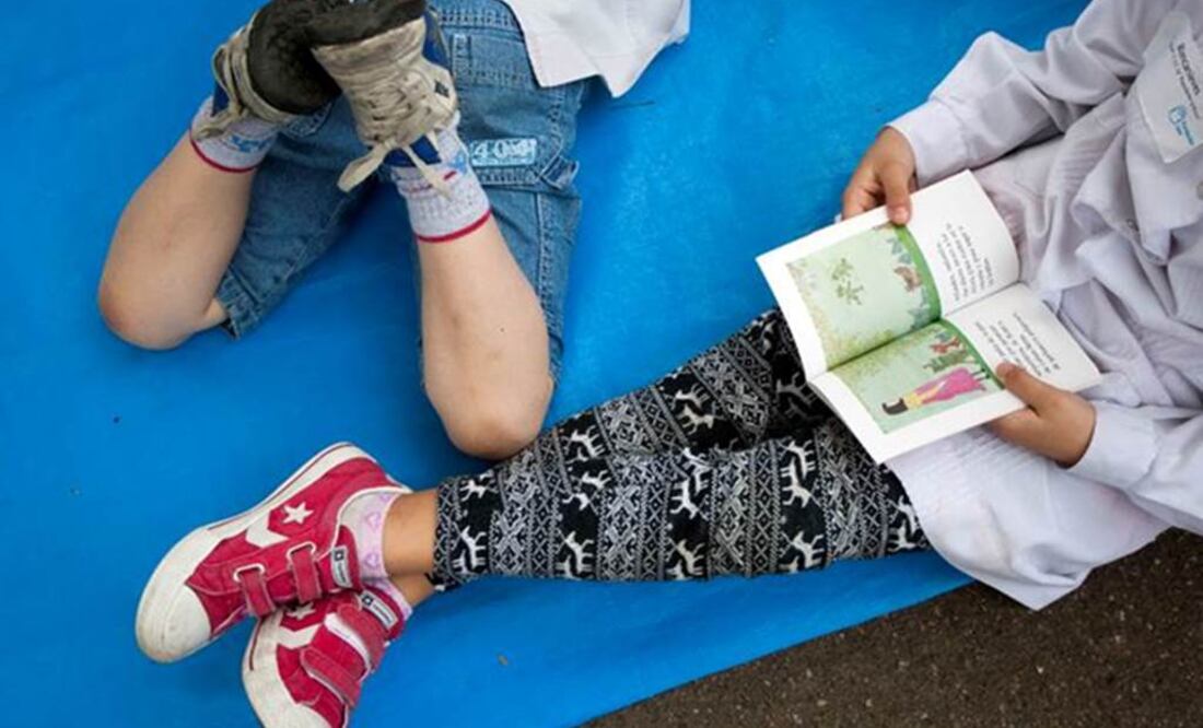Son más listos sólo por un pequeño margen. Foto: Archivo