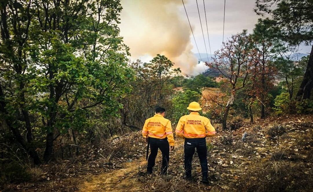 Las causas de los incendios sucedidos en estos cuatro meses han sido principalmente por las altas temperaturas registradas en Oaxaca. Foto: Especial  
