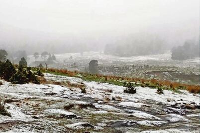 “En riesgo, 2.5 millones de personas por helada”