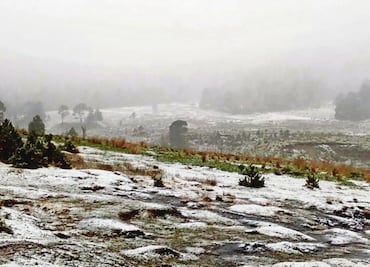 “En riesgo, 2.5 millones de personas por helada”