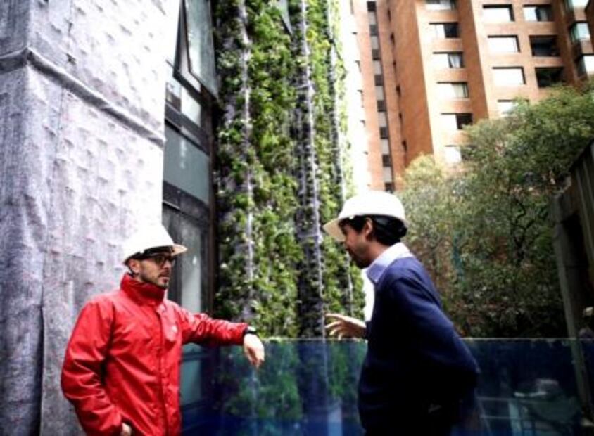 El hombre que “pinta” murales vegetales