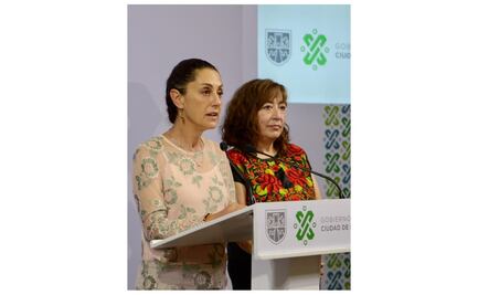 Realizarán despliegue para detectar violencia contra mujeres en núcleo familiar