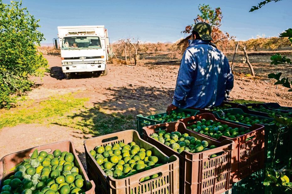 Juan José Estrada Serafín??: