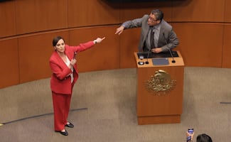 "Es un narco" y "demuéstremelo"; Saúl Monreal y Lilly Telléz tienen encotronazo durante debate del "Plan B" en el Senado
