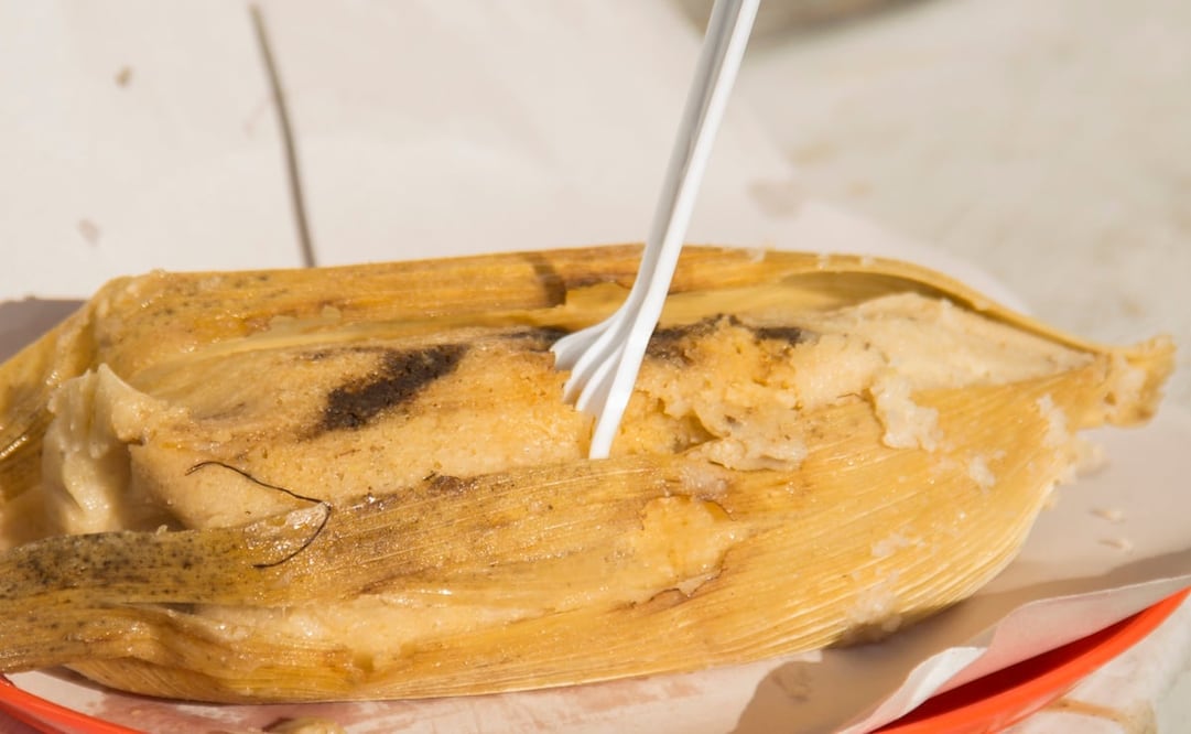 Foto: Alan Carranza Archivo El Universal