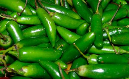 Estudian enzimas del chile para aplicarlas en alimentos y fármacos