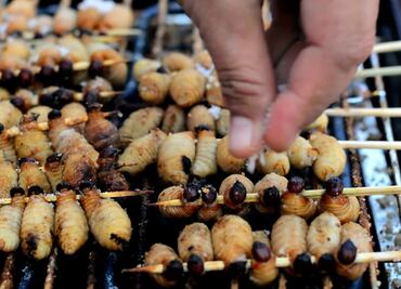 ¿Por qué hay tanto rechazo a comer insectos si son considerados "superalimentos"?