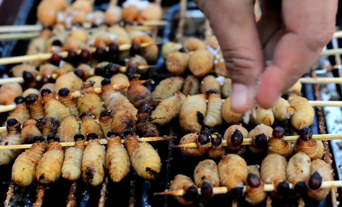 Al menos en tres continentes se comen insectos. Foto: Getty Images vía BBC