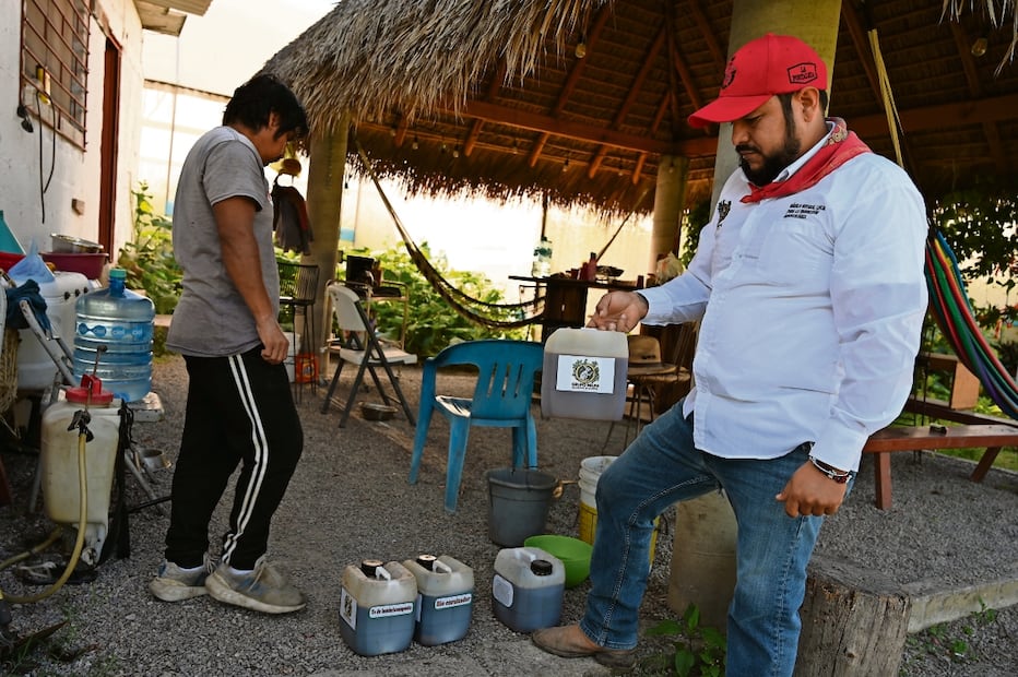 En el municipio de Jiutepec se elabora el té de lum, que se realiza a base del humus de la
lombriz. Foto: Justino Miranda / EL UNIVERSAL